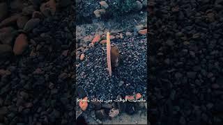 قصيدة رثائية بعنوان ولدي  بصوت خليل بلعربي