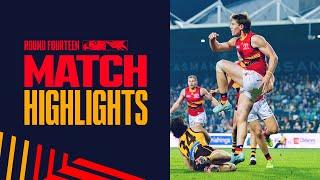 Highlights R14: v Hawthorn