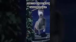 я после просмотра зимародка