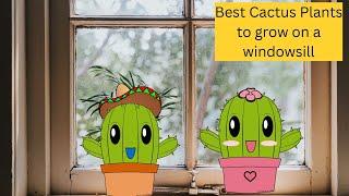 Best Cactus Plants to grow on a Windowsill #cactus #cacti