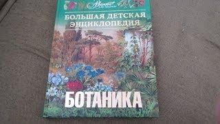 Ботаника. Большая детская энциклопедия