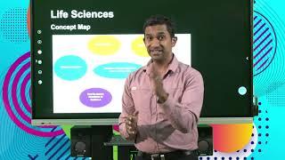 Life Sciences Structure Of Exam Paper And Exam Writing Skills