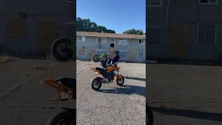 Circle wheelies @ abandoned apartments | Sweet Aroma #motorcycle #streetbike #grom