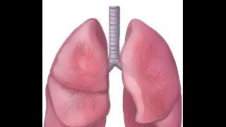 BREATH SOUNDS- UPPER AIRWAY NOISES, GURGLING