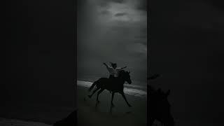 supreme - shubh 