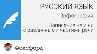 Орфография: Написание «не» и «ни» с различными частями речи. Центр онлайн-обучения «Фоксфорд»