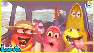 LARVA SEASON 3 EPISODE 145 ~ 246 | BEST CARTOONS 2024 | COMICS | HILARIOUS CARTOON COMPILATION