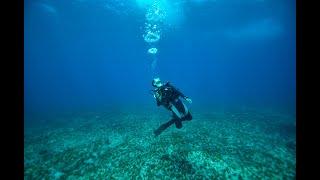 Aliwal Shoal Adventures teaching PADI open water course