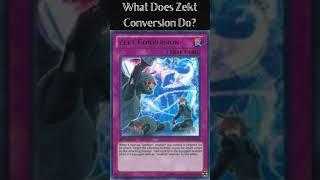 What Does Zekt Conversion Do?