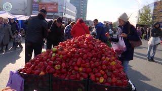 Большая осенняя ярмарка прошла в Новосибирске