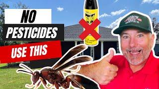 SAVE $150 by using this DIY WASP KILLER! KILLS Instantly!