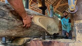Deadly and Unexpected Surprise When Sawing Teak Wood at the Sawmill