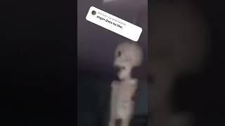 Skeleton Flying in a Ceiling Fan meme  #memes #shorts