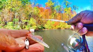 Why THIS Crappie Fishing Bait Catches So MANY Crappie!