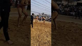 Shorts : kushtiwrestling matches