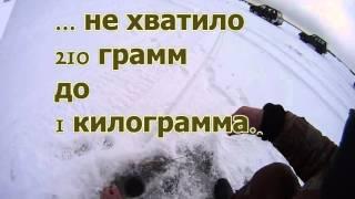 Ice-fishing. Perch. Безмотылка в сезоне 2015-16 года.