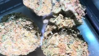 JK Distro Cali Alien OG Review | Potent Perspectives: The Real Deal on This Top-Shelf Strain