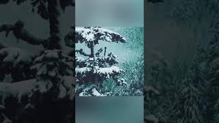 Зимний вид планеты Земля