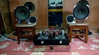 Mini DIY el95 tubeamplifier - telefunken speaker