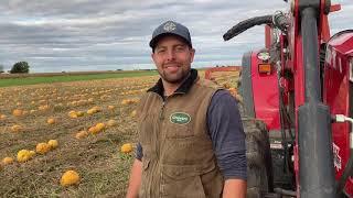 Pourquoi je me suis lancé dans la production de graines de citrouilles