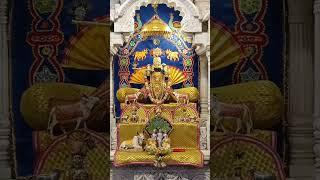 Jai Ranchod Rai #kanudo #ranchhodrai #jagannath #krishna #viralvideo