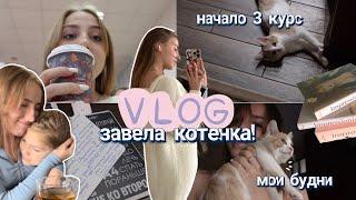 *vlog* СТАЛА МАМОЙ Котенка!  БУДНИ СТУДЕНТКИ: пары, работа официанткой, подарок бабушке