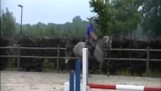 Electra `Sporthorses from Holland` FOR SALE  peter bulthuis