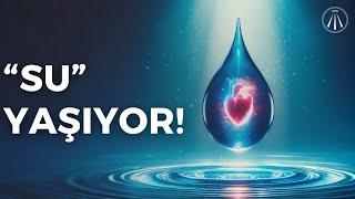 SU Hafızası Deneyi / Su Yaşayan Bir Varlık!