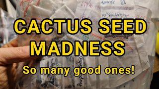 Cactus Seed Madness!