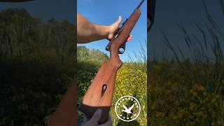 Американская мелкашка Mossberg 51M 22LR #hunter #охота #hunting #hunt #охотник #gun #shotgun