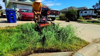 This Neighborhood Eyesore Gets a FREE Yard Transformation (Part 1)