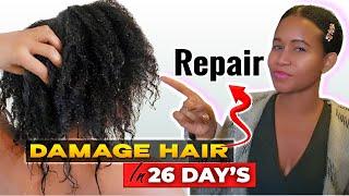 Transforming Heat-Damaged Hair: My Ultimate Repair Journey! | Selina Zinchuk