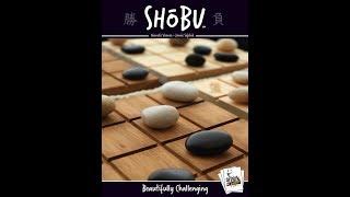 Learn to Play: Shobu