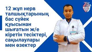 12 жұп нерв талшықтарының бас сүйек қуысынан шығатын ж/е кіретін тесіктері, саңылаулары мен өзектері