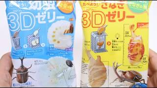 Japanese Rhino Beetle Larva and Chrysalis 3D Jelly Kit DIY Candy