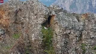 Sep 2, 2024: The Fulmar Baby (Lola) Fledges Today. Adios!