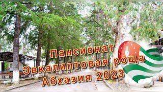 Пансионат- Эвкалиптовая роща. Абхазия. Октябрь 2023.Море, источники, эквалипты. #абхазия2023.9ч.