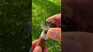 nub Cameroon #cigar #nub #lighter #cutter #oliva #cigarlighter #allinone  #uppallant_home #سیگار_برگ