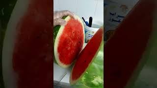 very big watermelon Saudi Arabia #Chef islam