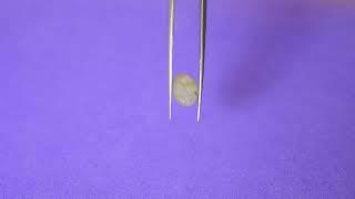 ID-166,3.42 Carat / 3.80 Ratti natural certified catseye.