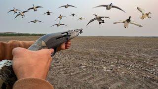 INSANE 8 Man Limit Duck and Goose Hunting! (112 Bird Mixed Bag)