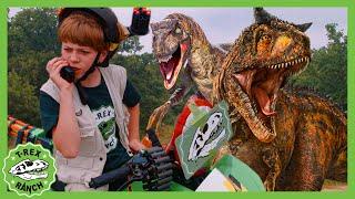 The Dinos Have Escaped! Help Catch Them! | T-Rex Ranch Dinosaur Videos for Kids