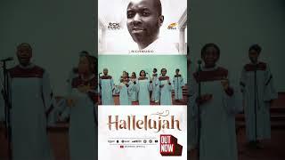 RICHMUSIC - halleujah