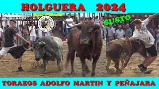 HOLGUERA TORAZOS DE ADOLFO MARTIN Y PEÑAJARA Y UNA VACA 2024 #toros #bull #fiesta #tradiciones