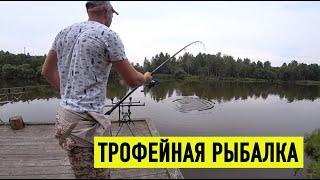 Лучшая рыбалка на карпа и амура. Михайловское озеро.