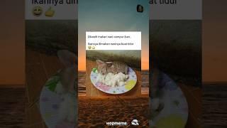 ngantuk banget ya meng yak #memes #funny #meme #lucu #fypシ゚viral #shorts
