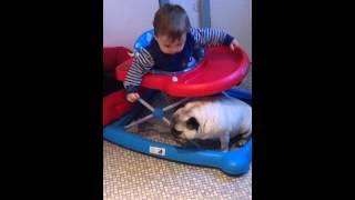 Baby Louie speaking to his pug!