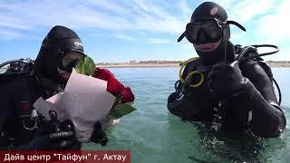 Дайвинг в Казахстане.  Предложение руки и сердца в Каспийском море.