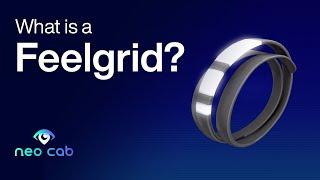 Neo Cab - What is a Feelgrid?