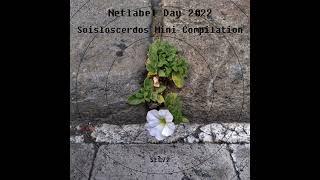 Langax - Void (Netlabel Day 2022 Mini Compilation) Soisloscerdos Netlabel